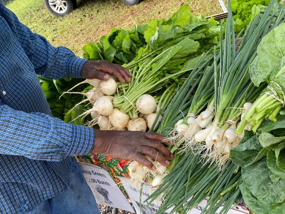 LSU AgCenter to host free virtual training for farmers market vendors